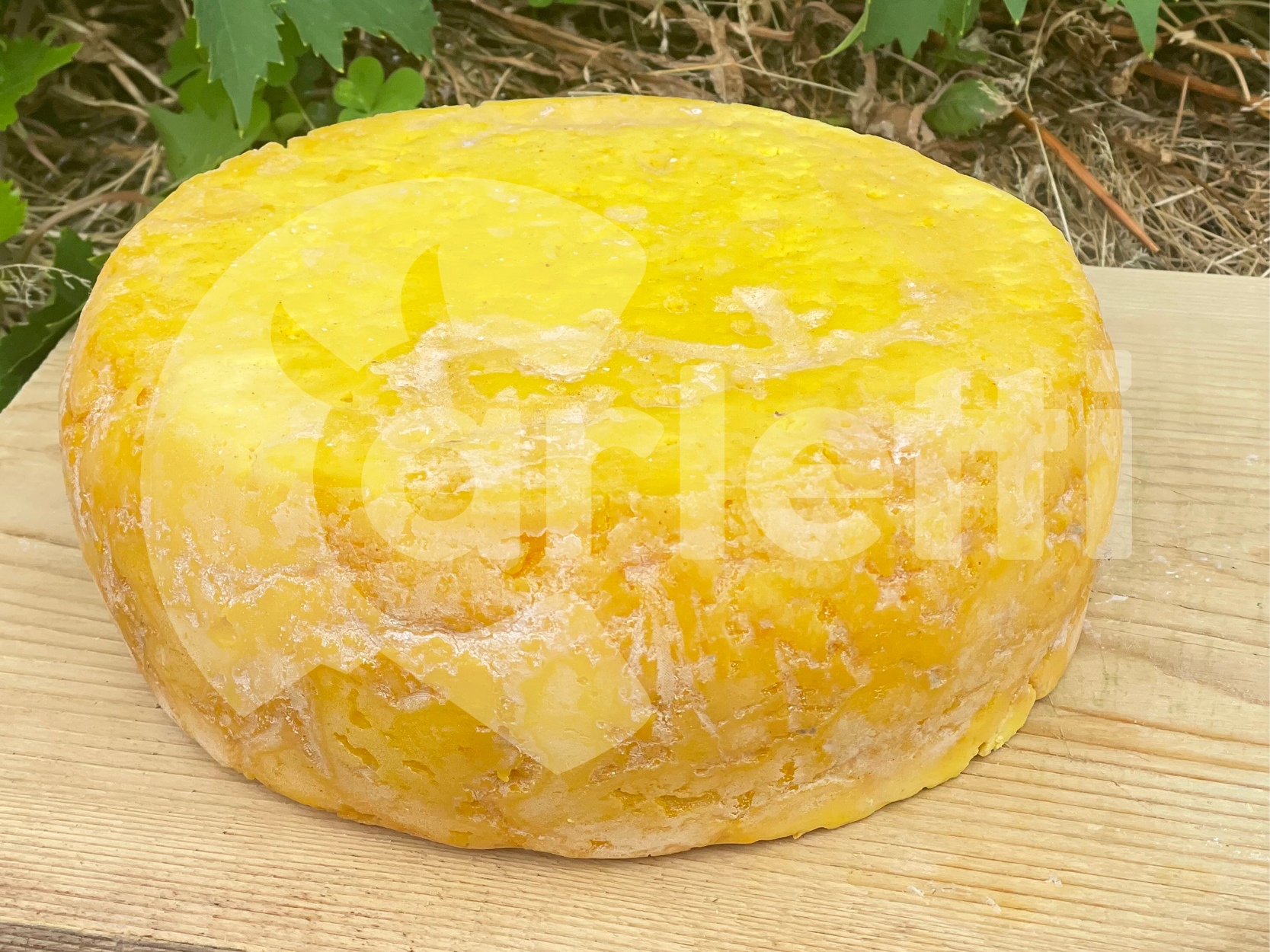 Nostrano Pasta Gialla Carletti